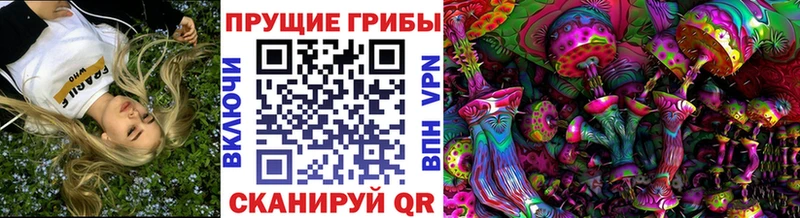 где найти наркотики  ОМГ ОМГ как зайти  Псилоцибиновые грибы мухоморы  Заинск 